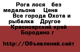 Рога лося , без медальона. › Цена ­ 15 000 - Все города Охота и рыбалка » Другое   . Красноярский край,Бородино г.